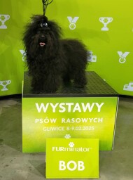 MVP Katowice 09.02.2025